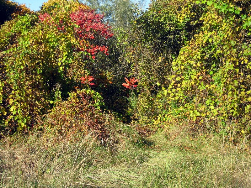 ../Images/Radtour111008 010.jpg